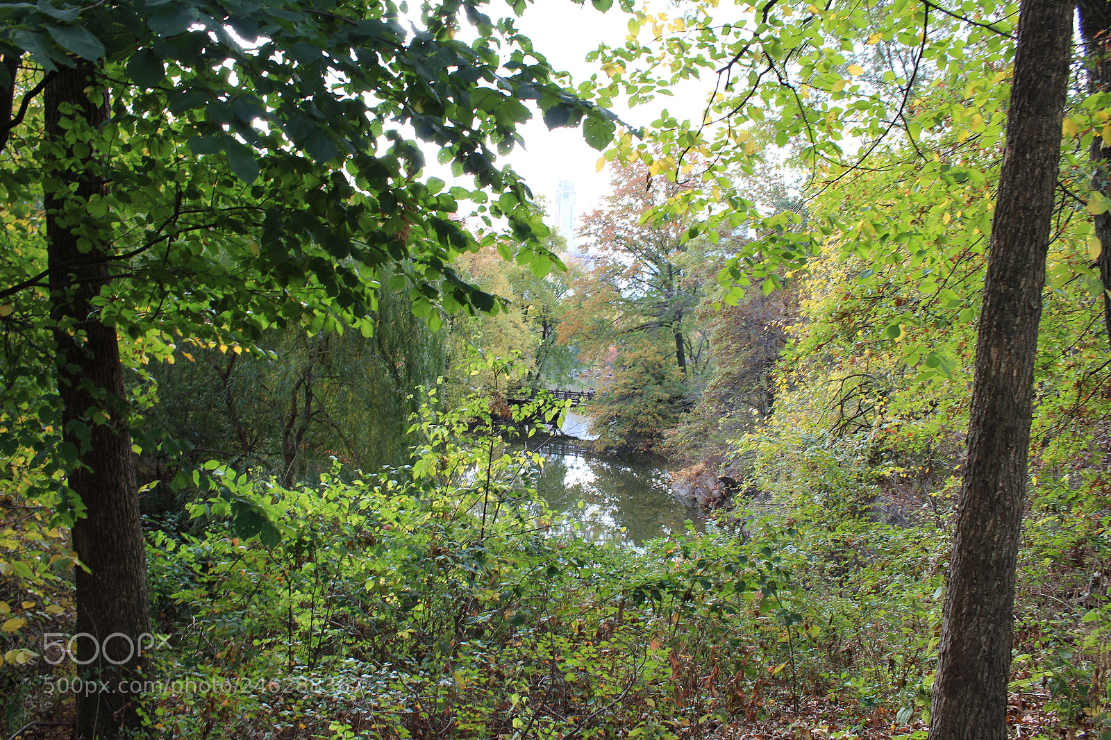 Canon EOS 1300D (EOS Rebel T6 / EOS Kiss X80) sample photo. New york ,central park photography