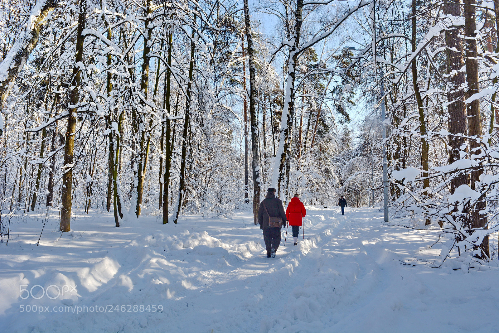 Nikon D5200 sample photo. Russian winter photography