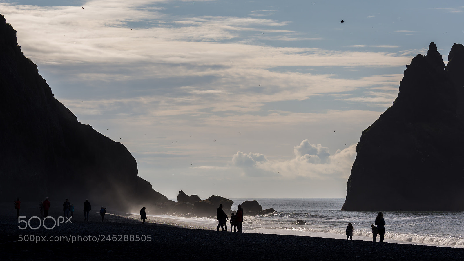 Nikon D7200 sample photo. Dark silhouettes on black-sand photography