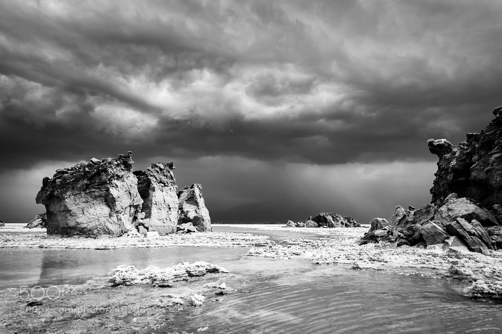 Fujifilm X-T2 sample photo. Drama at the dead photography