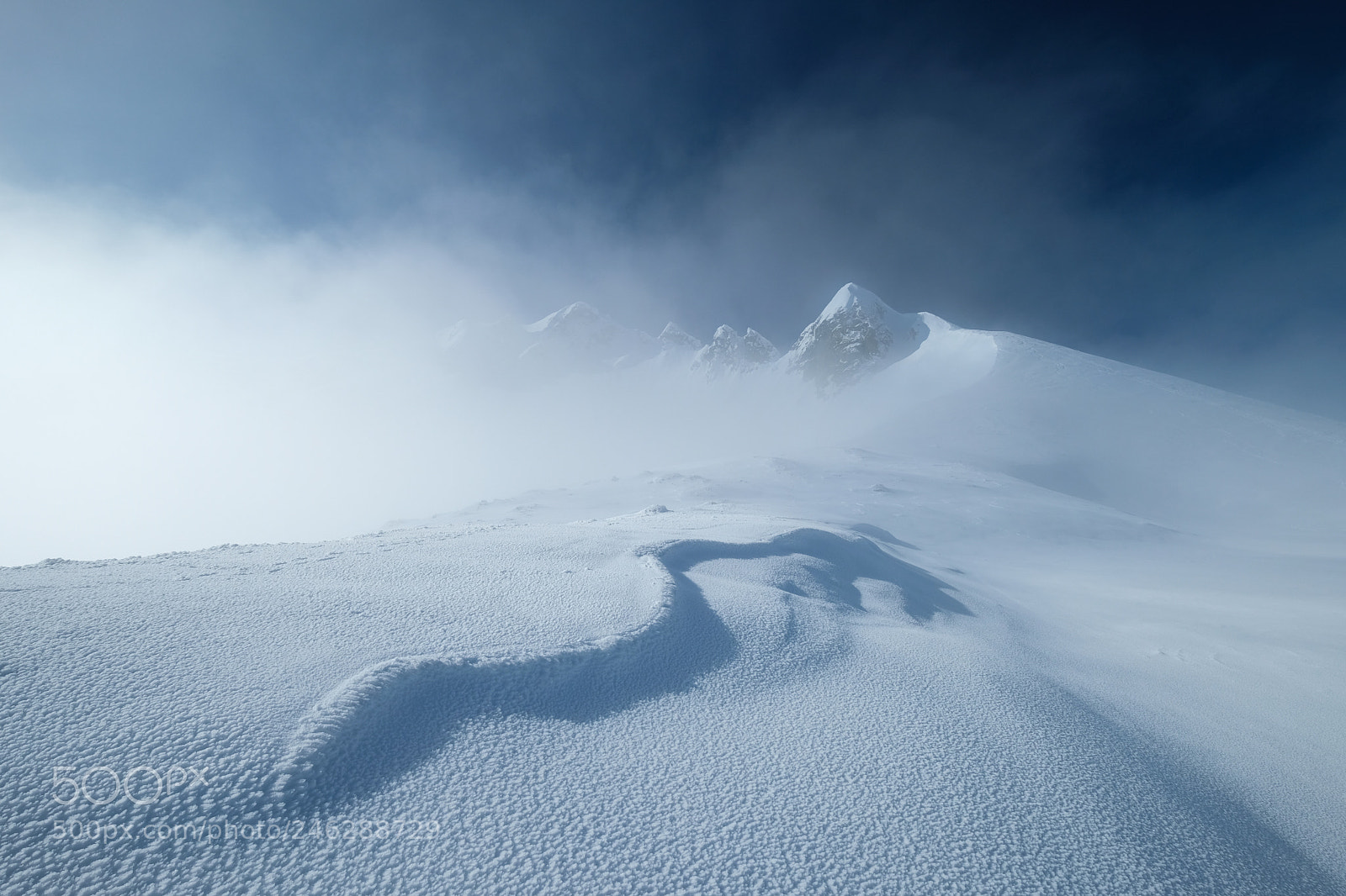 Fujifilm X-T2 sample photo. Snowsnake photography