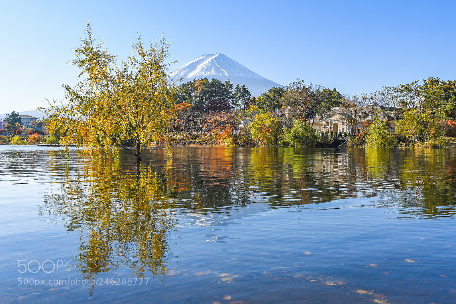 Nikon D850 sample photo. Fuji in autumn photography