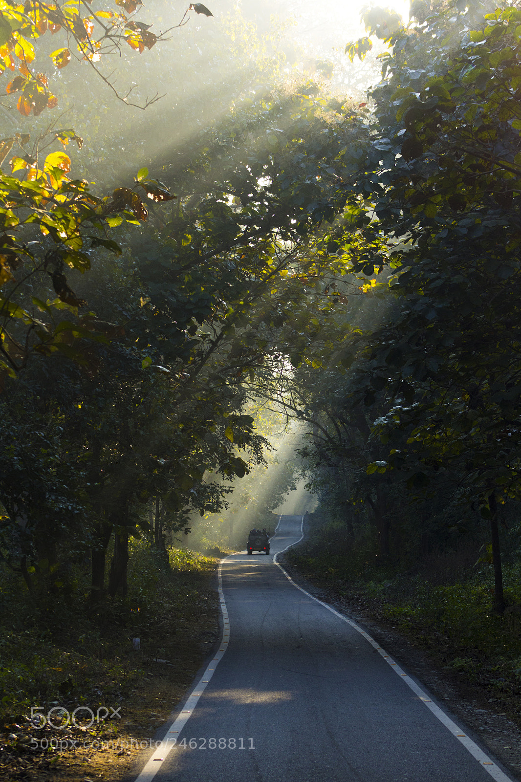 Canon EOS 60D sample photo. God's watch photography
