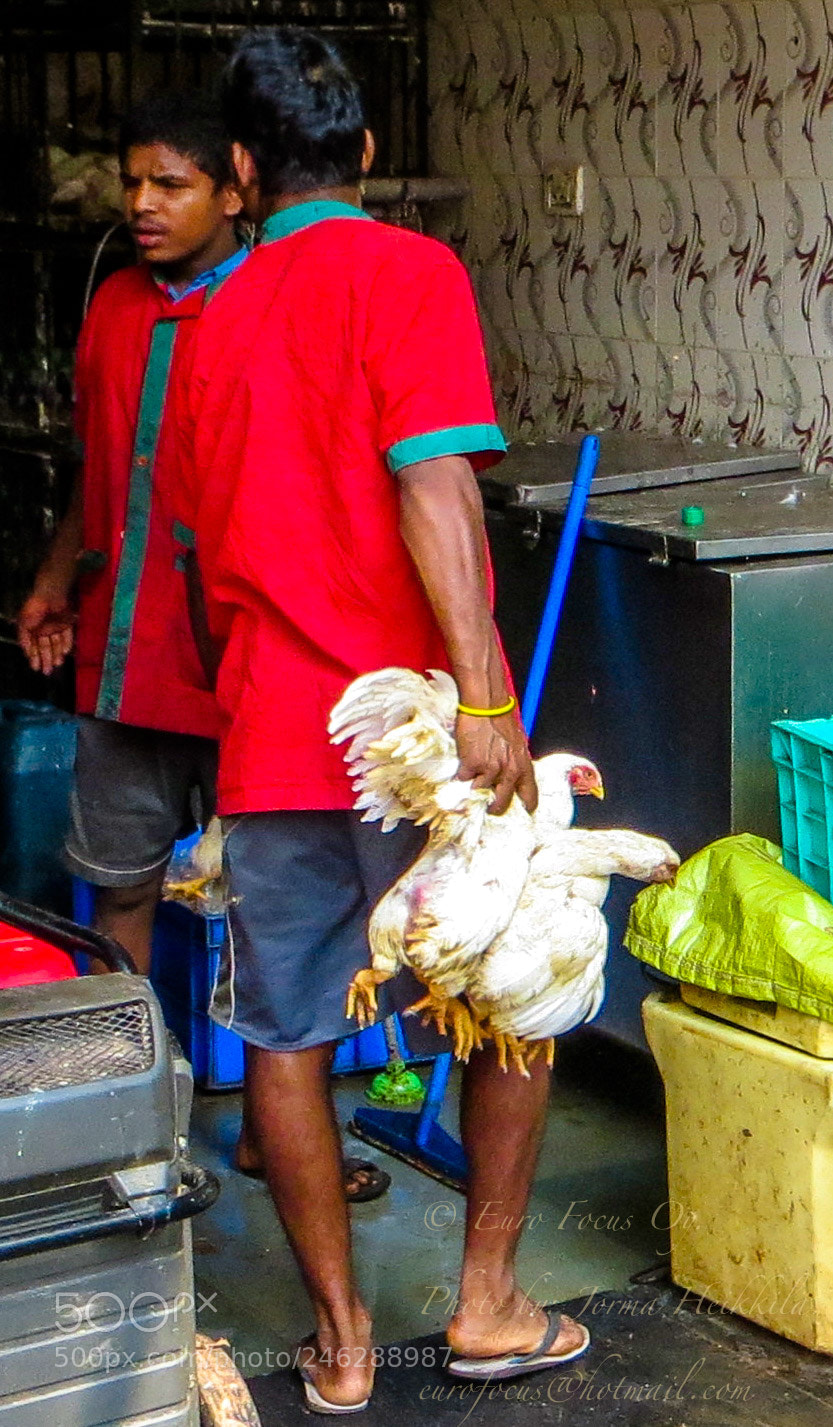 Canon PowerShot SX260 HS sample photo. Street life in goa. photography