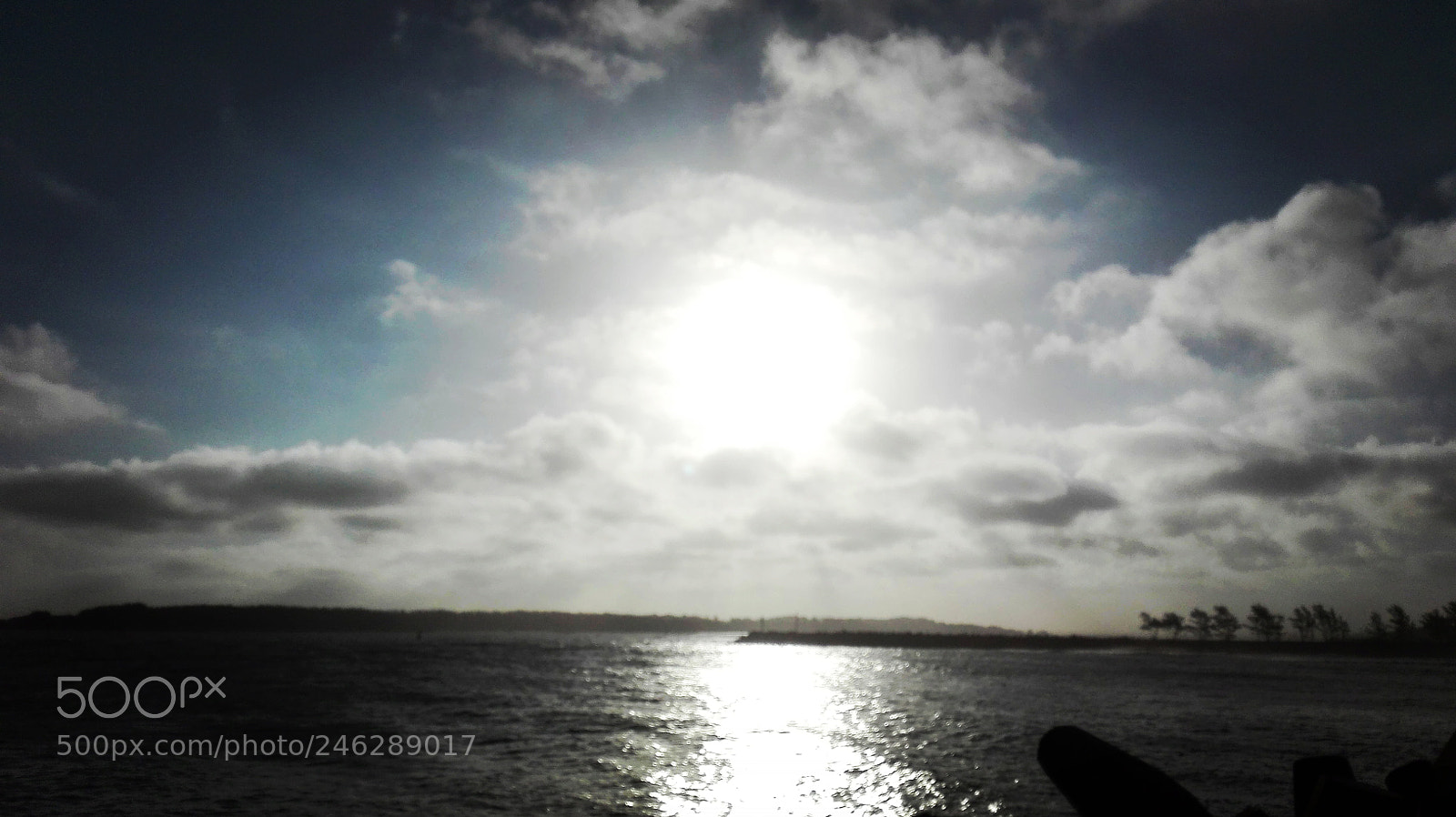HUAWEI P8 Lite sample photo. Nurture photography
