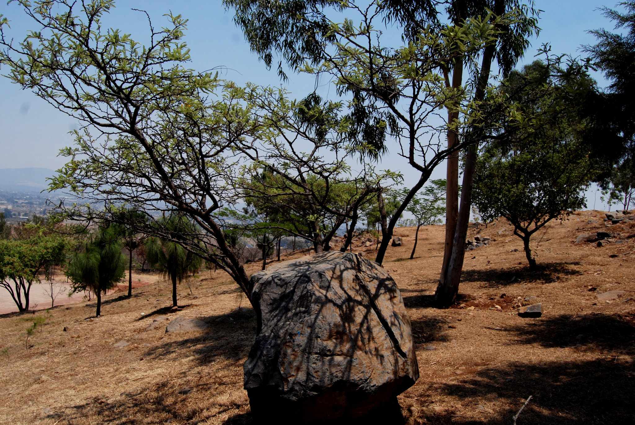 Nikon D40X sample photo. Look up photography