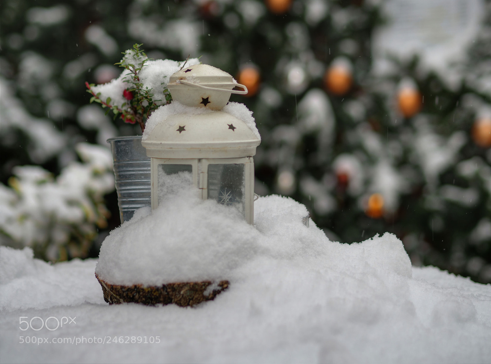 Olympus OM-D E-M5 II sample photo. Lantern in the snow photography