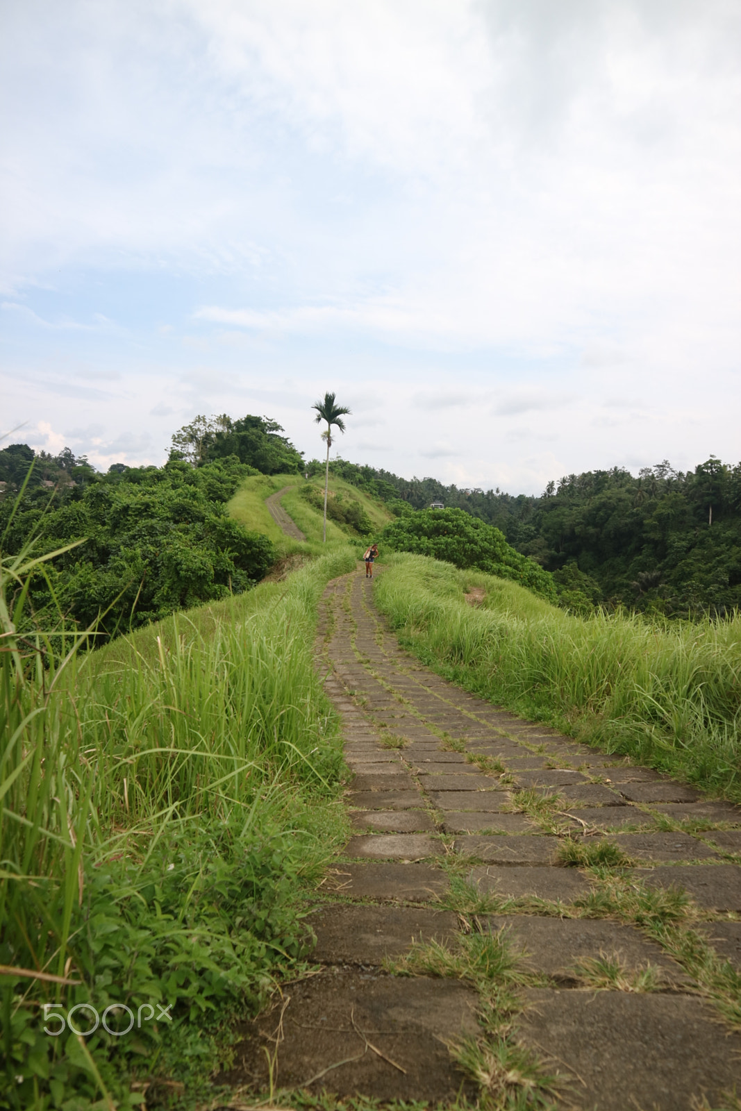 Canon EOS M3 sample photo. A long road to the green photography