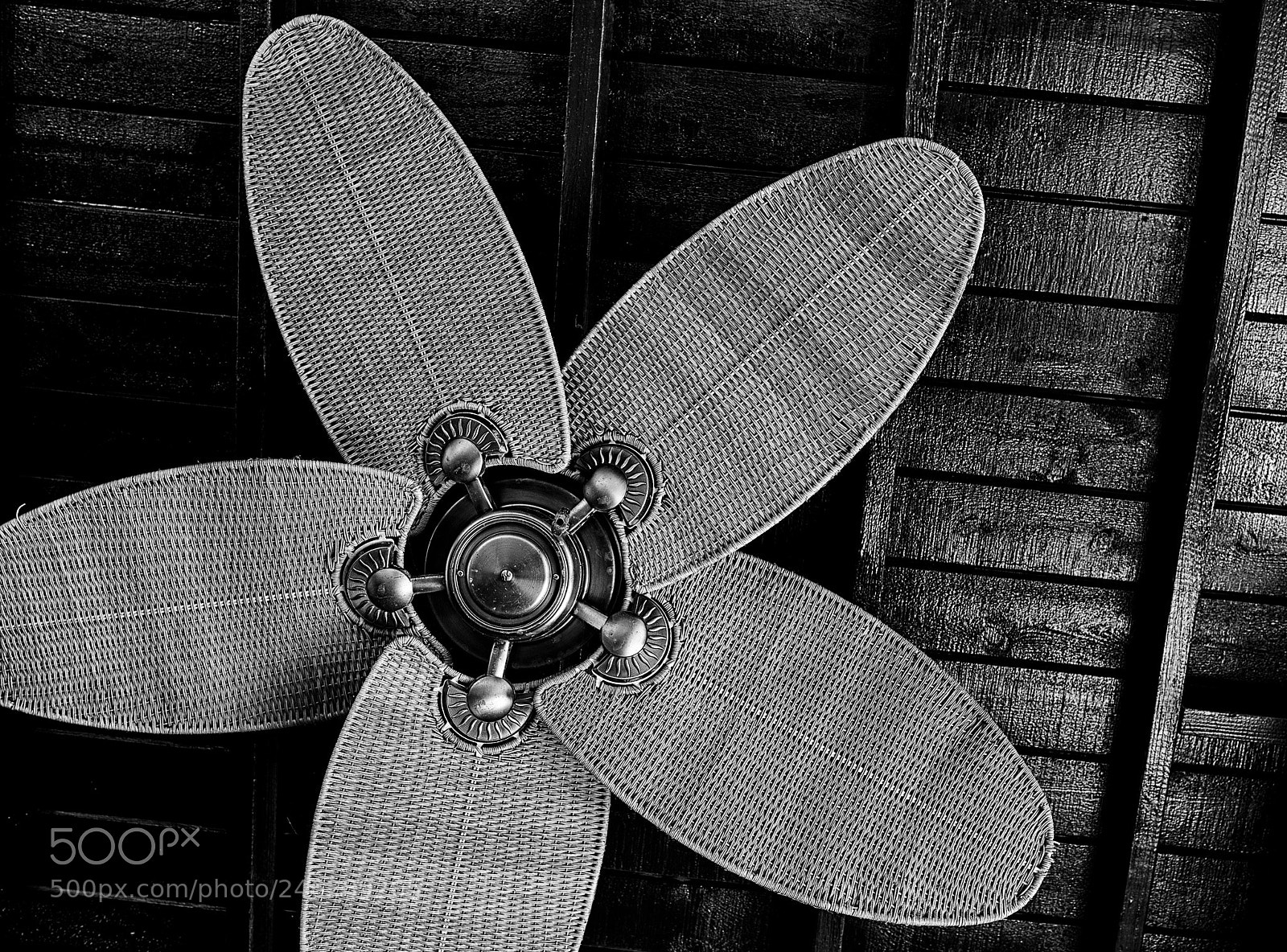 Nikon D800 sample photo. Different photography
