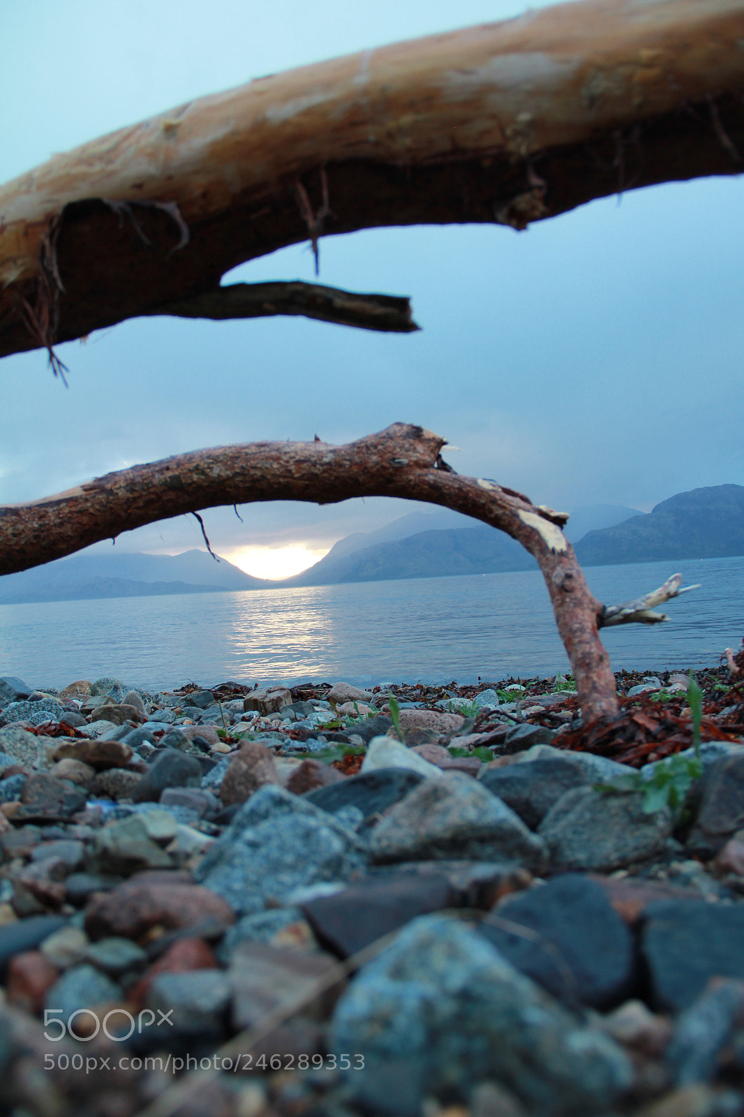 Canon EOS 60D sample photo. Driftwood photography