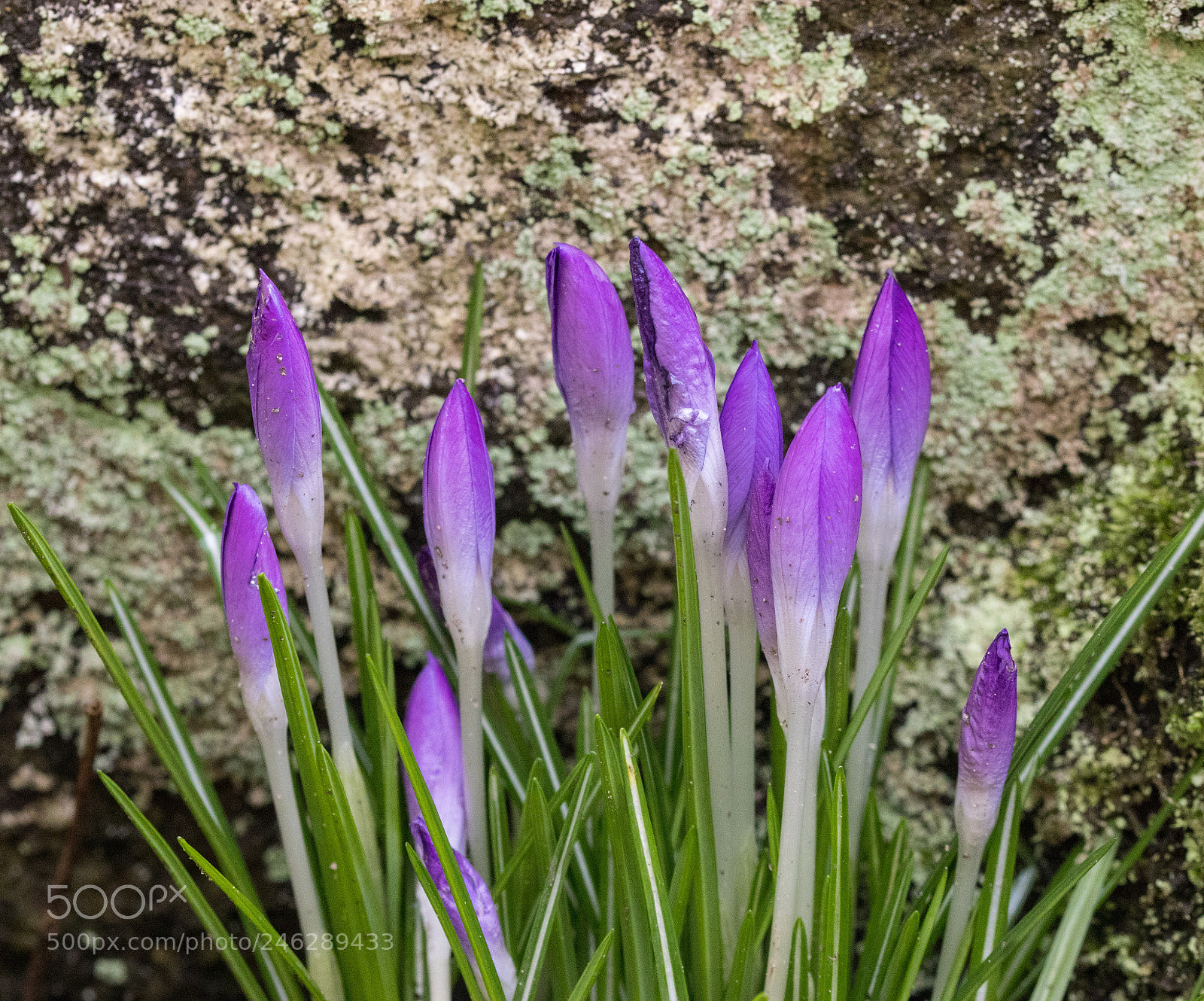 Canon EOS 77D (EOS 9000D / EOS 770D) sample photo. Up against the wall photography