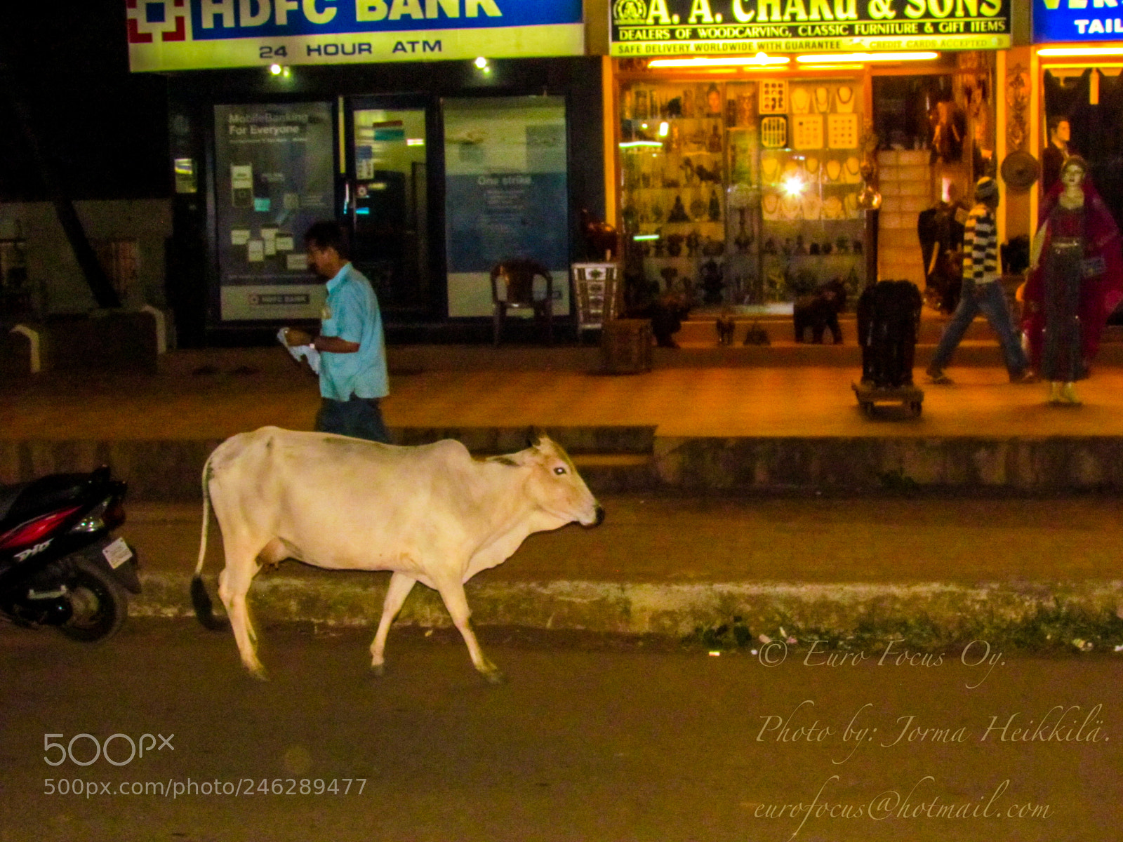 Canon PowerShot SX30 IS sample photo. Street life in india photography