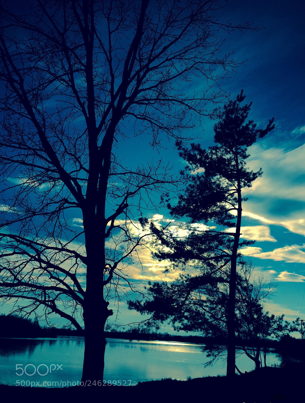 Apple iPhone 6 sample photo. Rerwtq photography