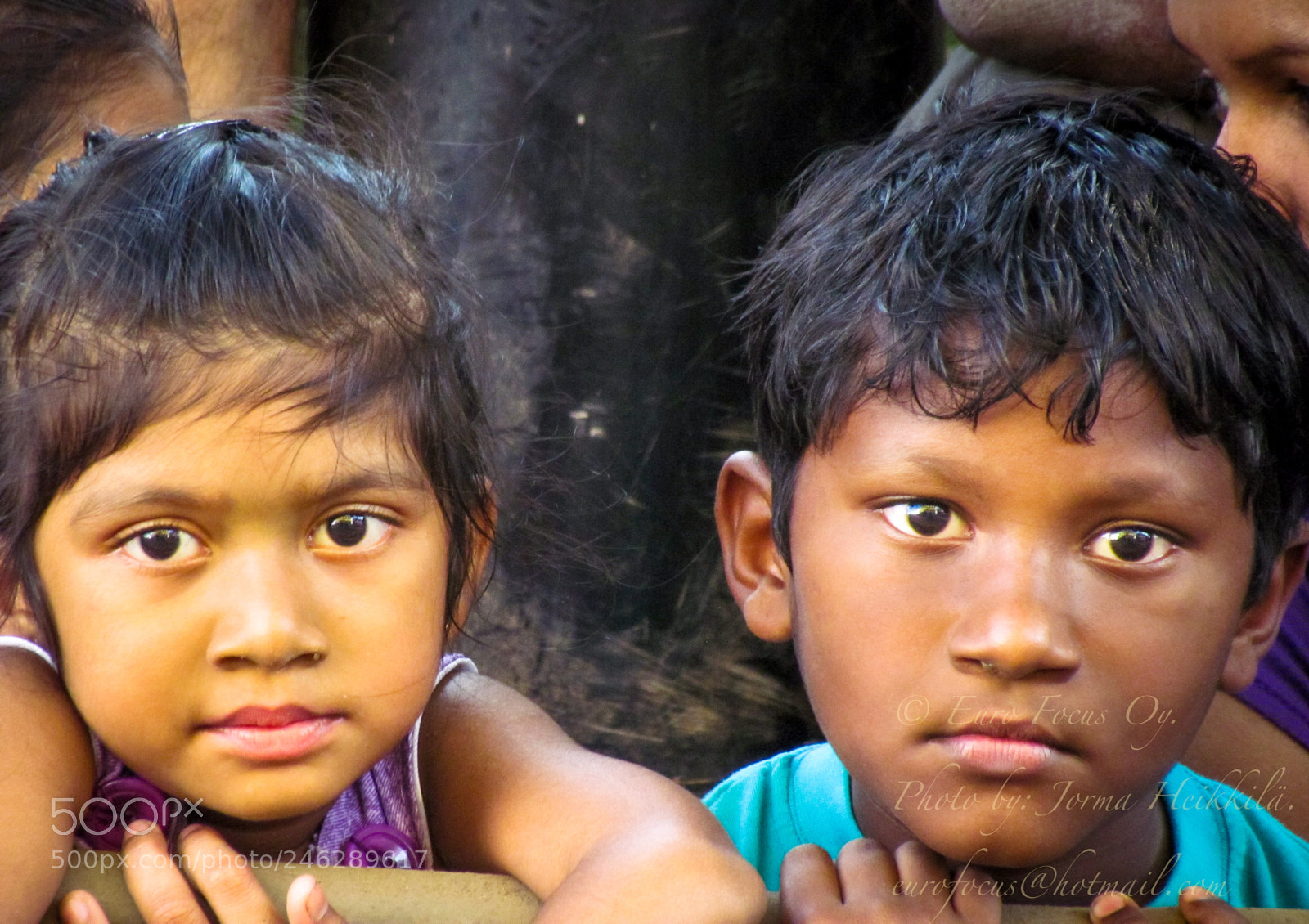 Canon PowerShot SX30 IS sample photo. Street life in india photography