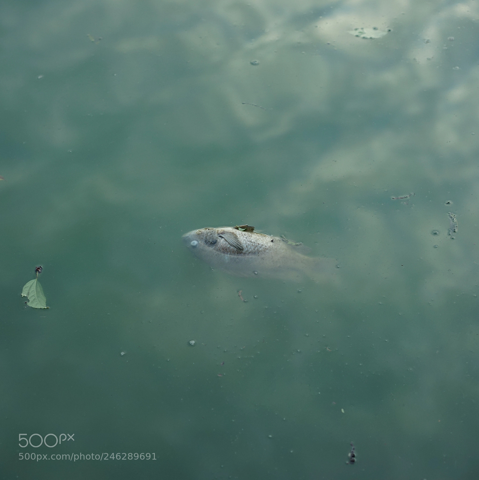 Sony a7R sample photo. Final photography