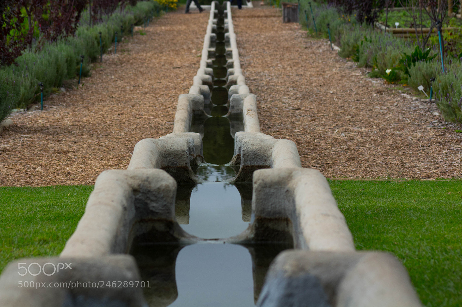 Canon EOS 1300D (EOS Rebel T6 / EOS Kiss X80) sample photo. Img photography