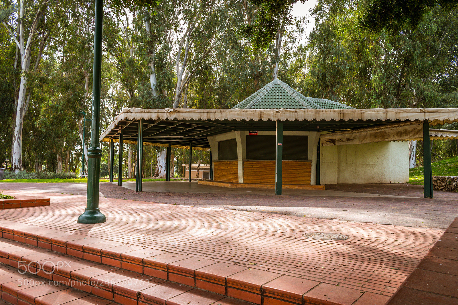 Nikon D5600 sample photo. Closed photography