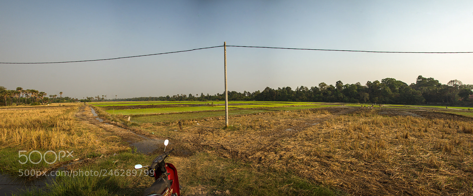 Nikon D800 sample photo. Cambodian landscape photography