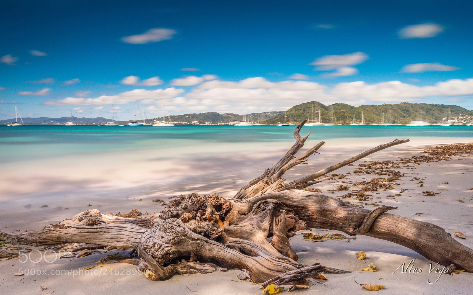 Sony a7R sample photo. Bois flotté anse caritan photography
