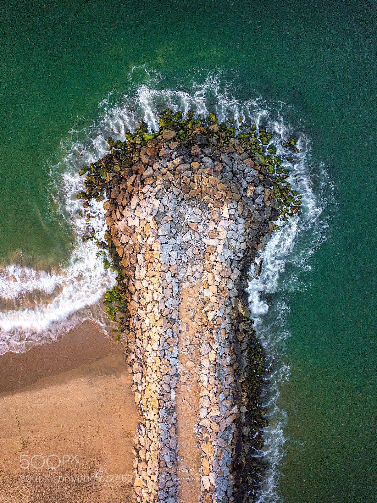 DJI FC220 sample photo. Flower bud in beach photography