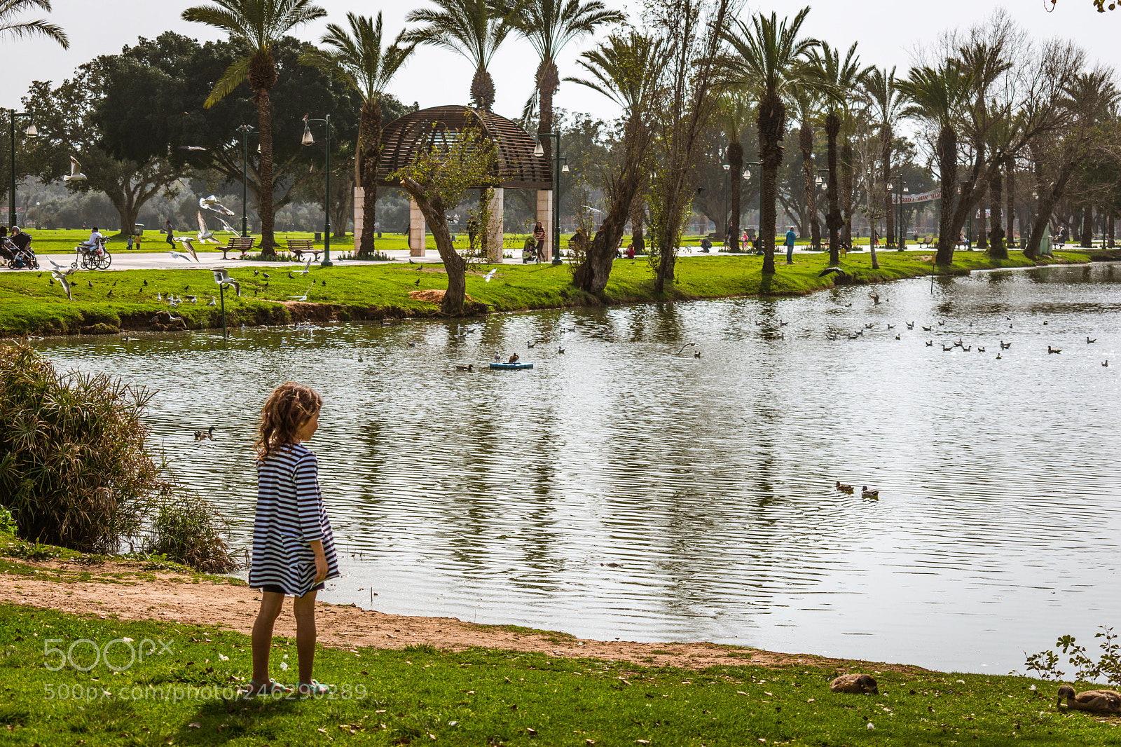 Nikon D5600 sample photo. Perfect day photography
