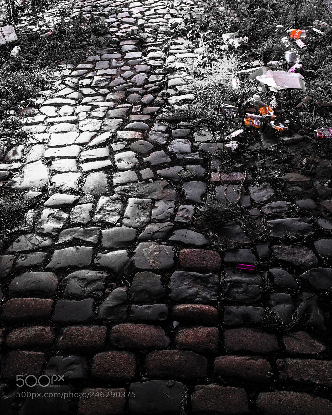 Apple iPhone 6s sample photo. Relaid and litter photography