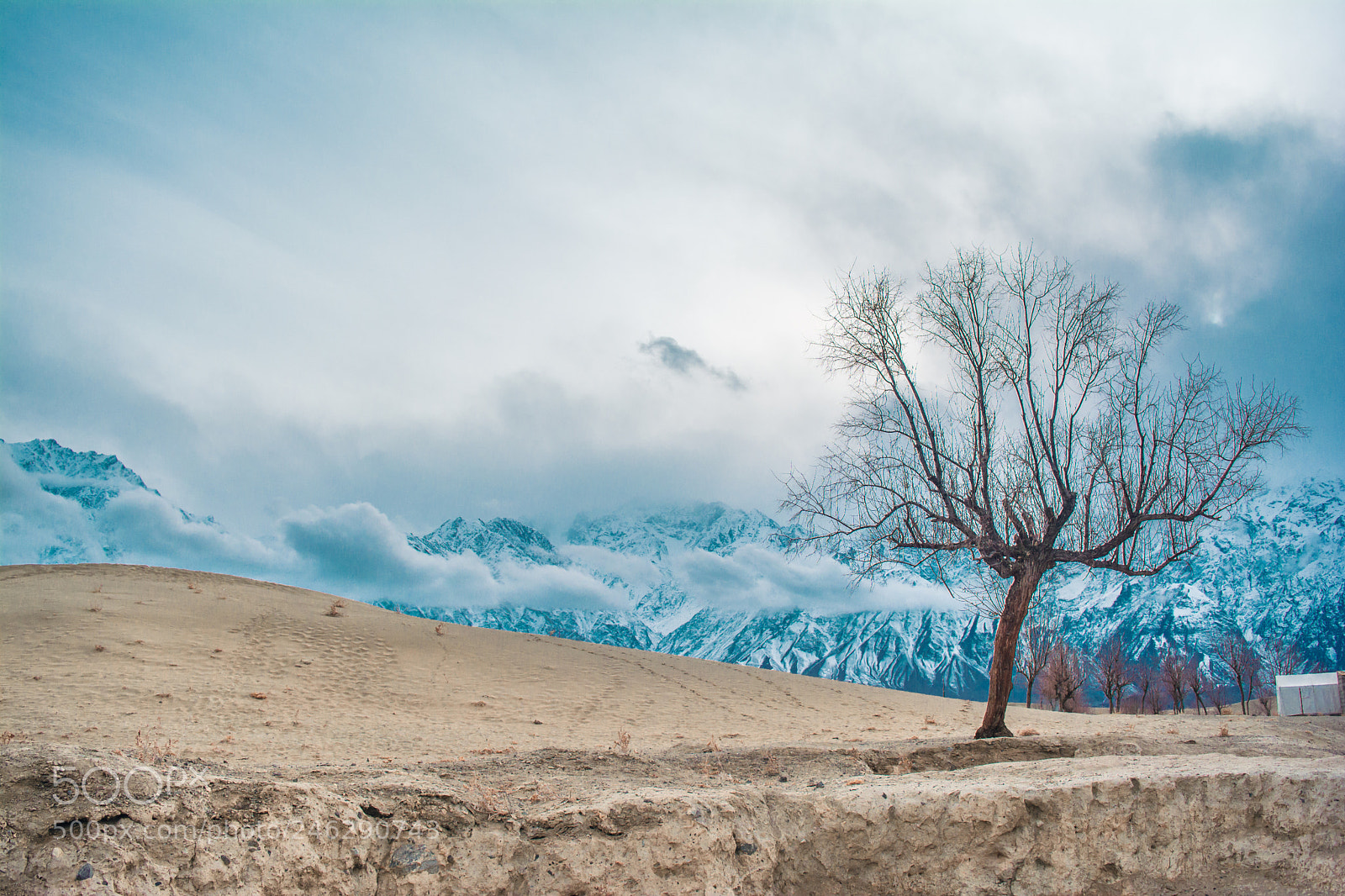 Nikon D5200 sample photo. Katpana desert photography