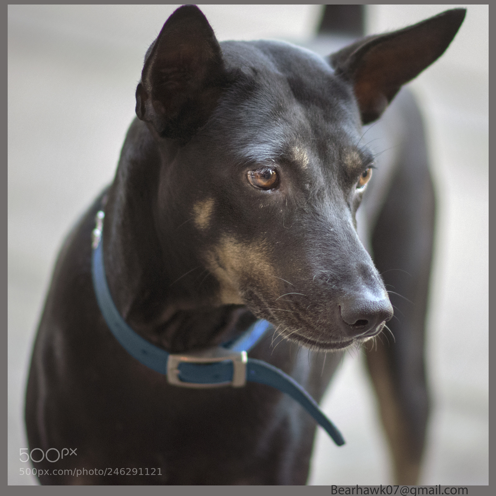 Nikon D7200 sample photo. 002.jpg photography