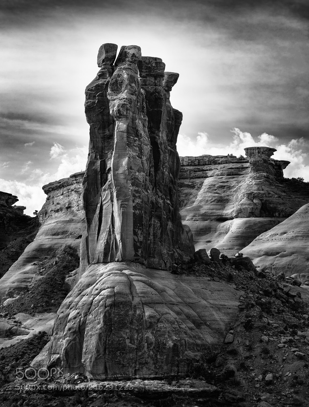 Nikon D7100 sample photo. The three gossips photography