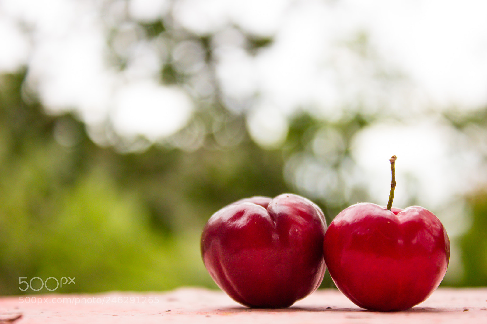 Canon EOS 600D (Rebel EOS T3i / EOS Kiss X5) sample photo. Red fruits photography