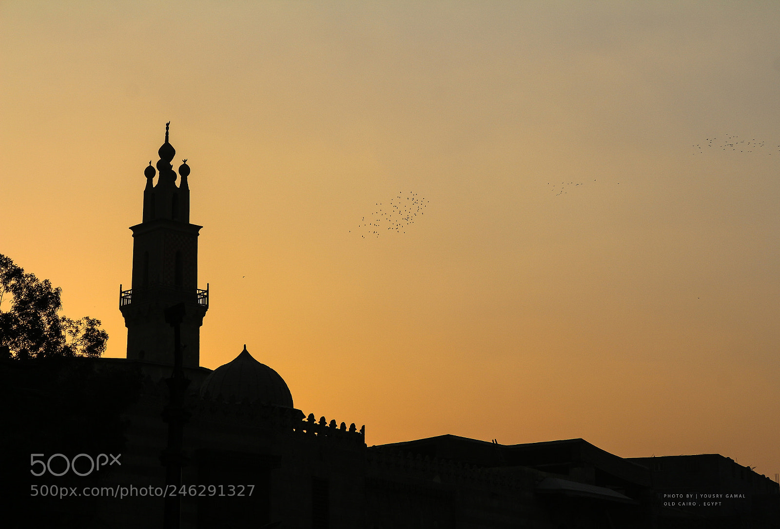 Canon EOS 700D (EOS Rebel T5i / EOS Kiss X7i) sample photo. Sunset oldcairo photography