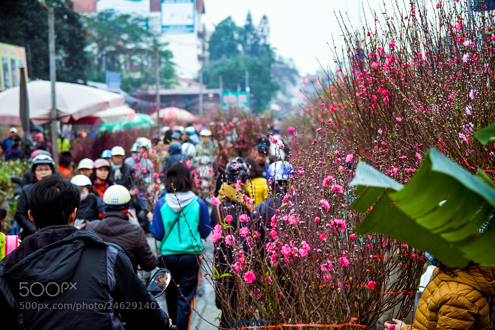 Canon EOS 50D sample photo. Lunar new year photography