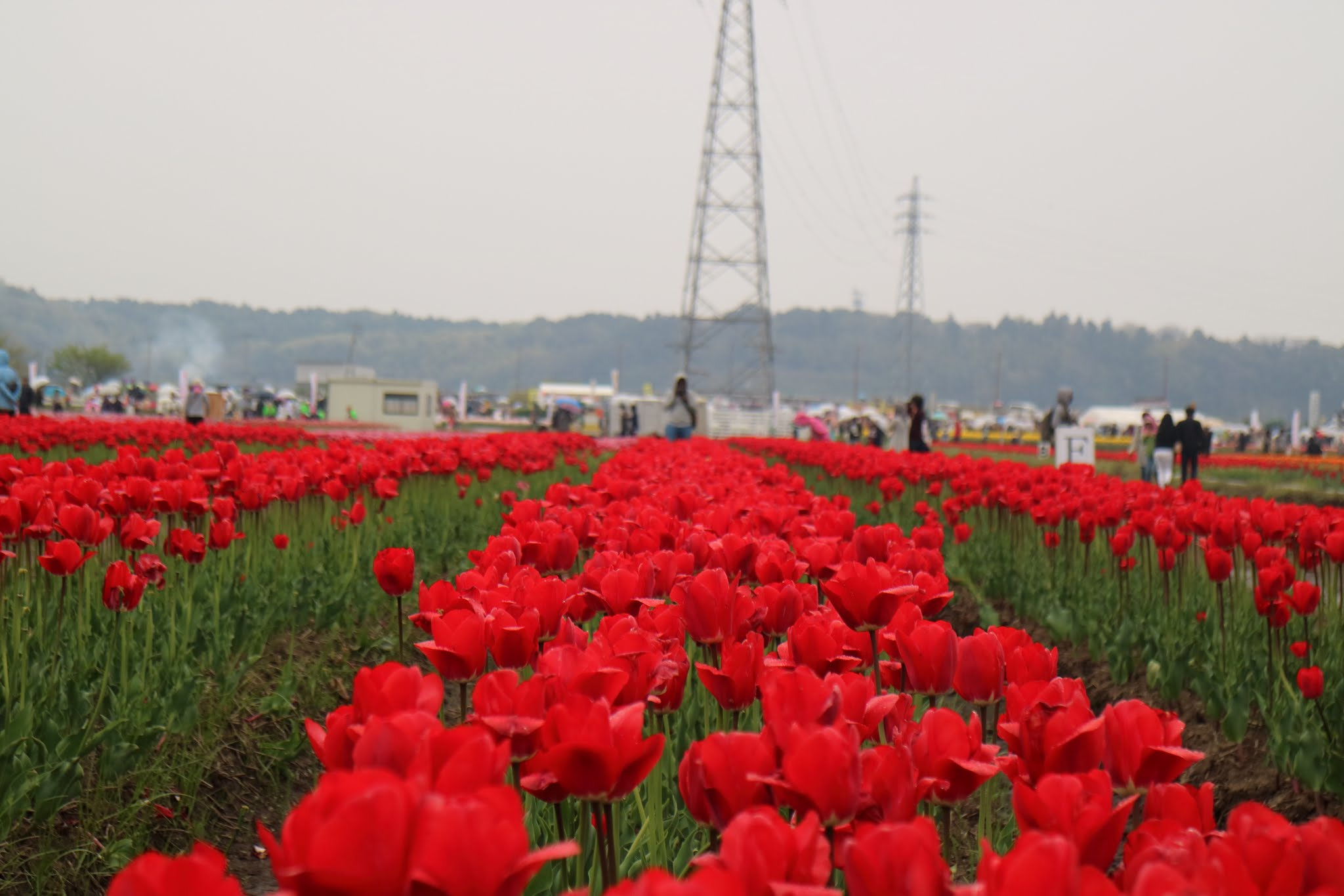 Canon EOS M3 sample photo. Untitled photography