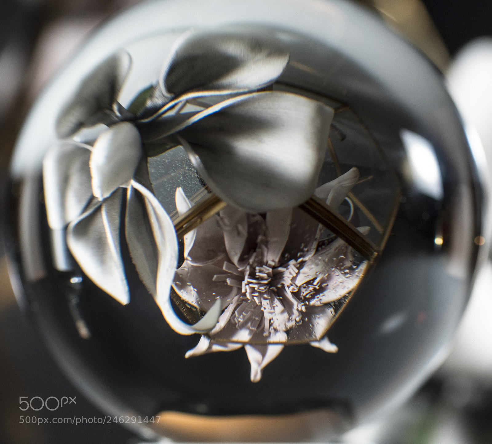 Nikon D500 sample photo. Reflexs photography