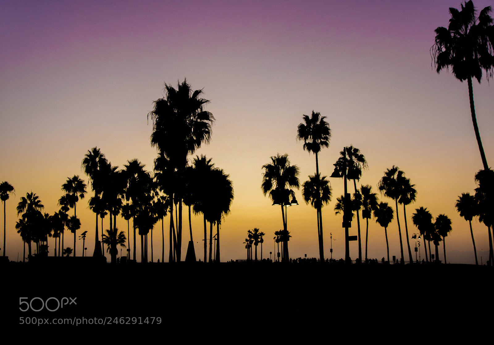 Canon EOS 750D (EOS Rebel T6i / EOS Kiss X8i) sample photo. Venice sunset photography