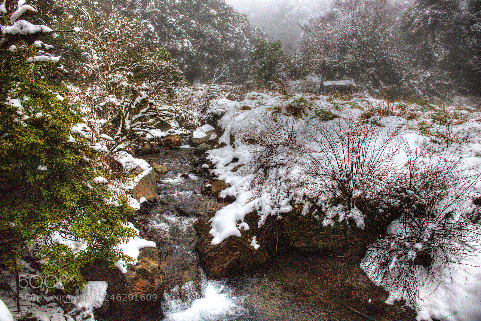 Canon EF 24-70mm F4L IS USM sample photo. 思源埡口段雪景 photography