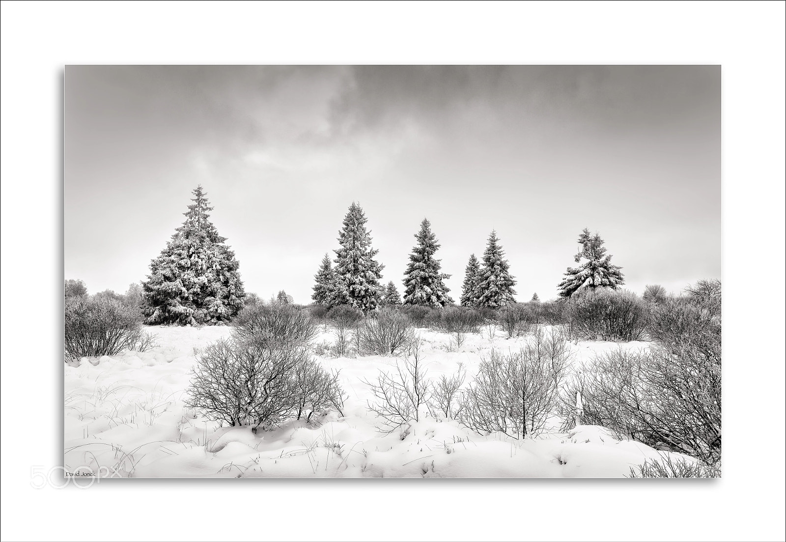 Nikon D850 sample photo. High fens -  winterscape photography