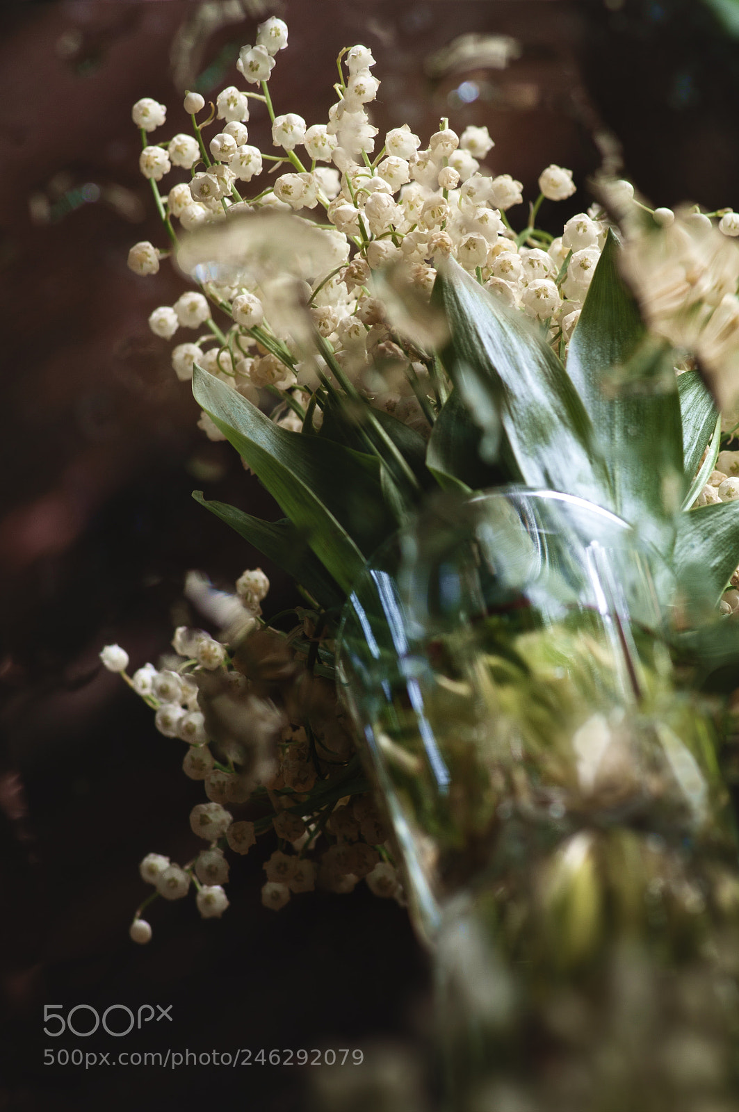 Pentax K-7 sample photo. Spring attraction photography