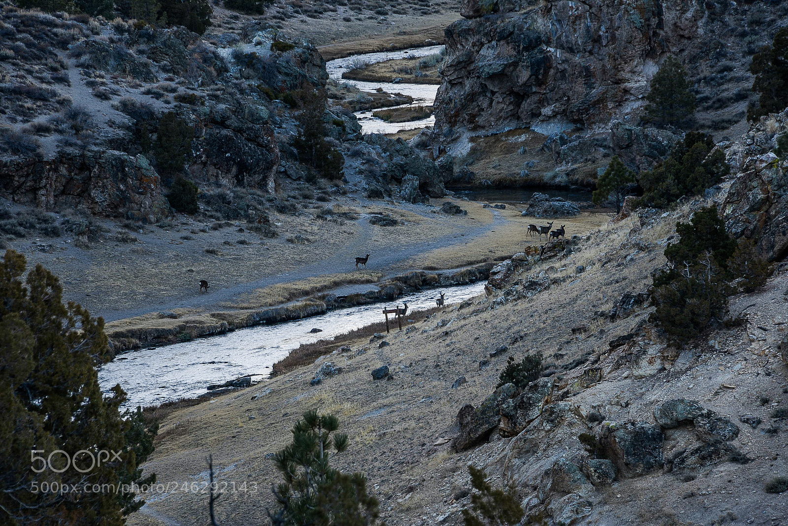 Nikon D600 sample photo. Peace in the valley photography