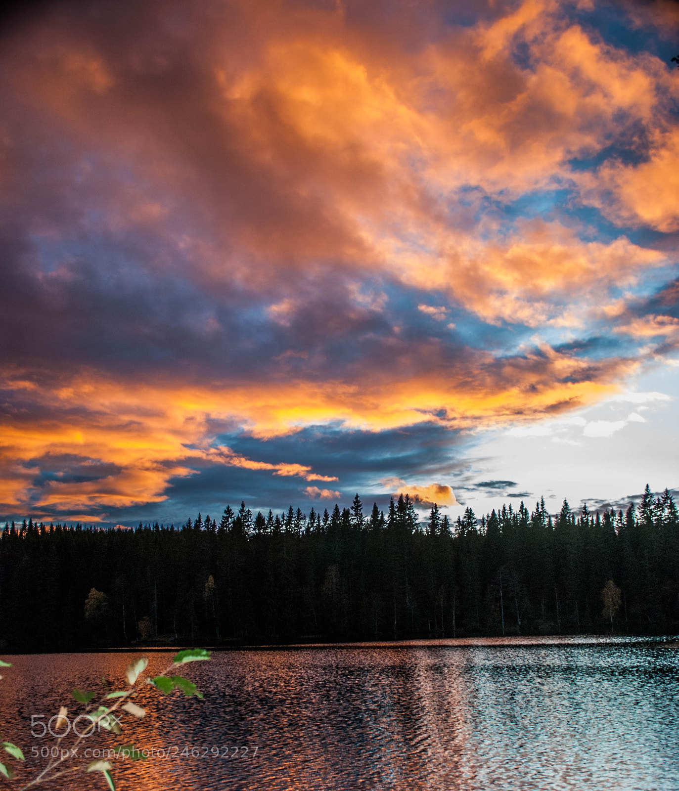 Nikon D80 sample photo. Fire in the sky. photography