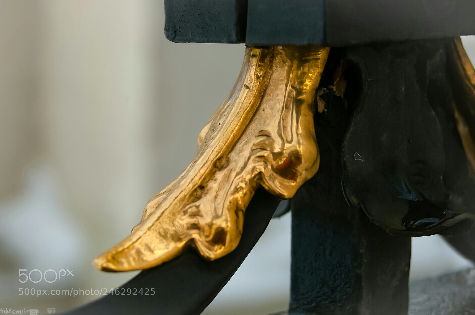 Nikon D50 sample photo. Golden leaf photography