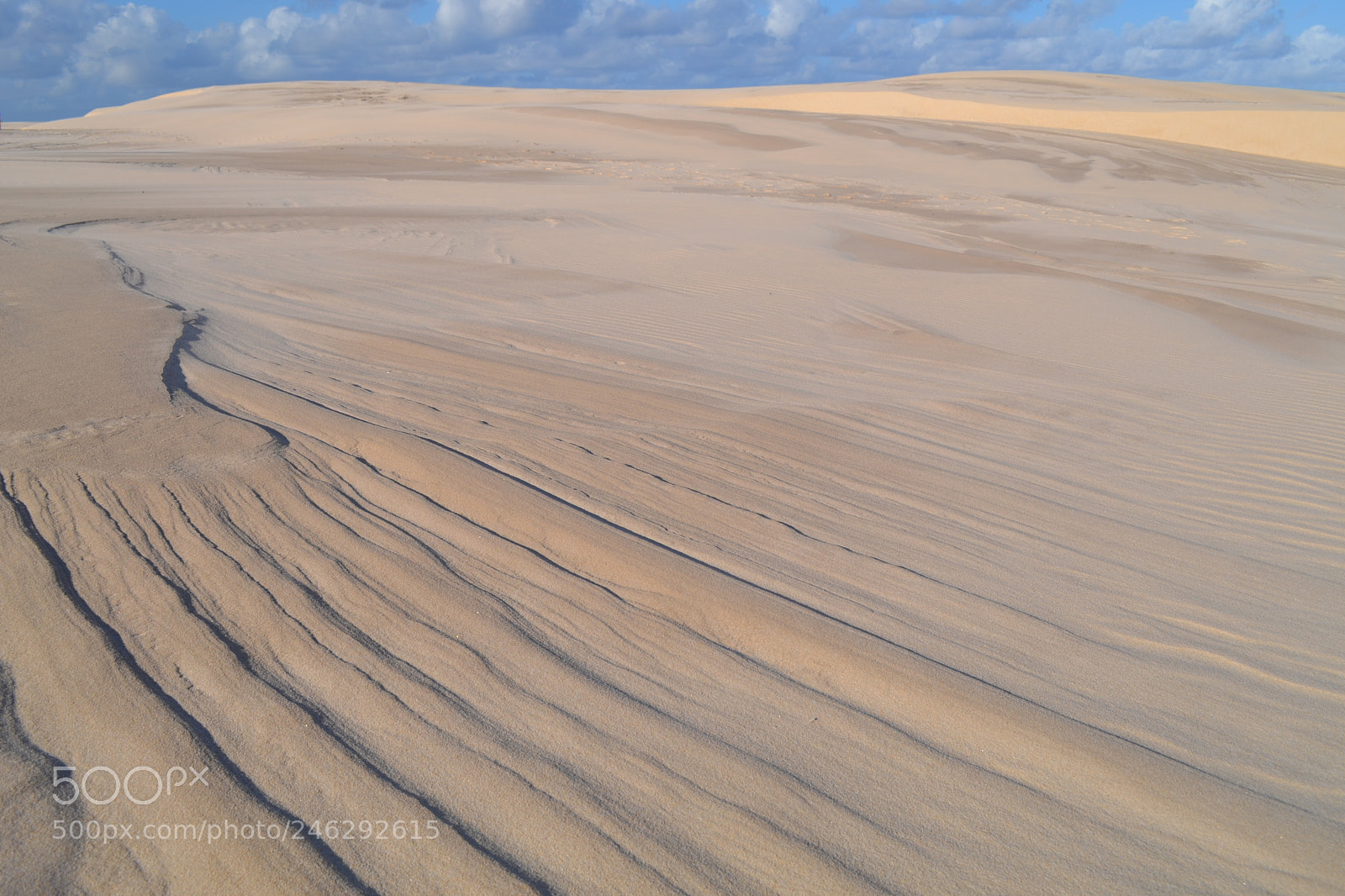 Nikon D3100 sample photo. Texture in the sand photography