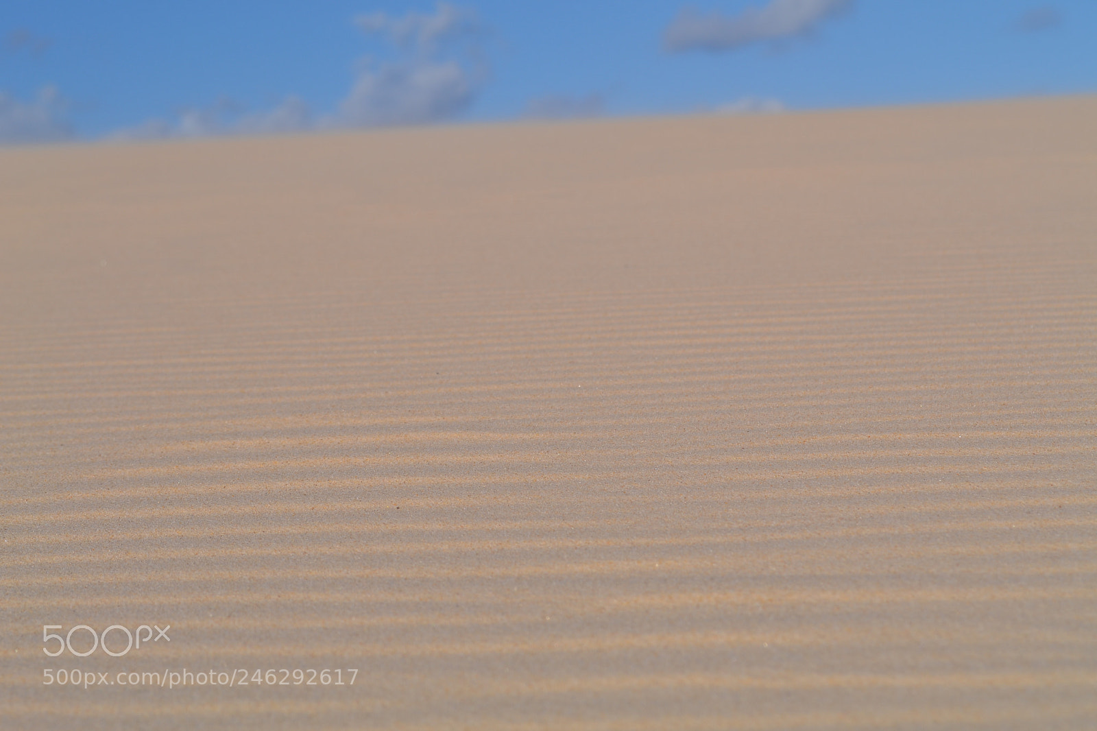 Nikon D3100 sample photo. Sand diffusion photography