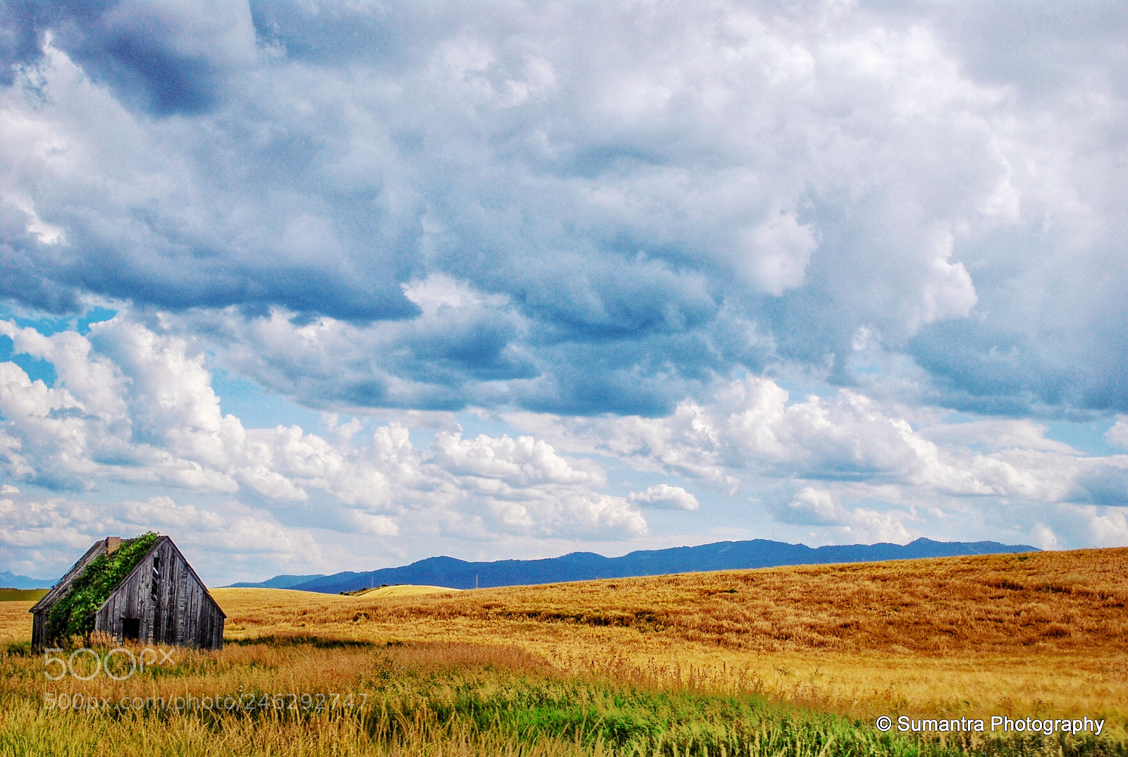 Nikon D60 sample photo. The barn house photography