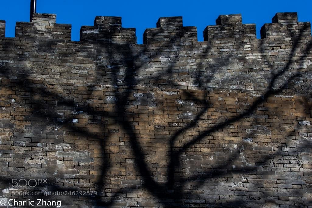 Canon EOS-1D X sample photo. Untitled photography
