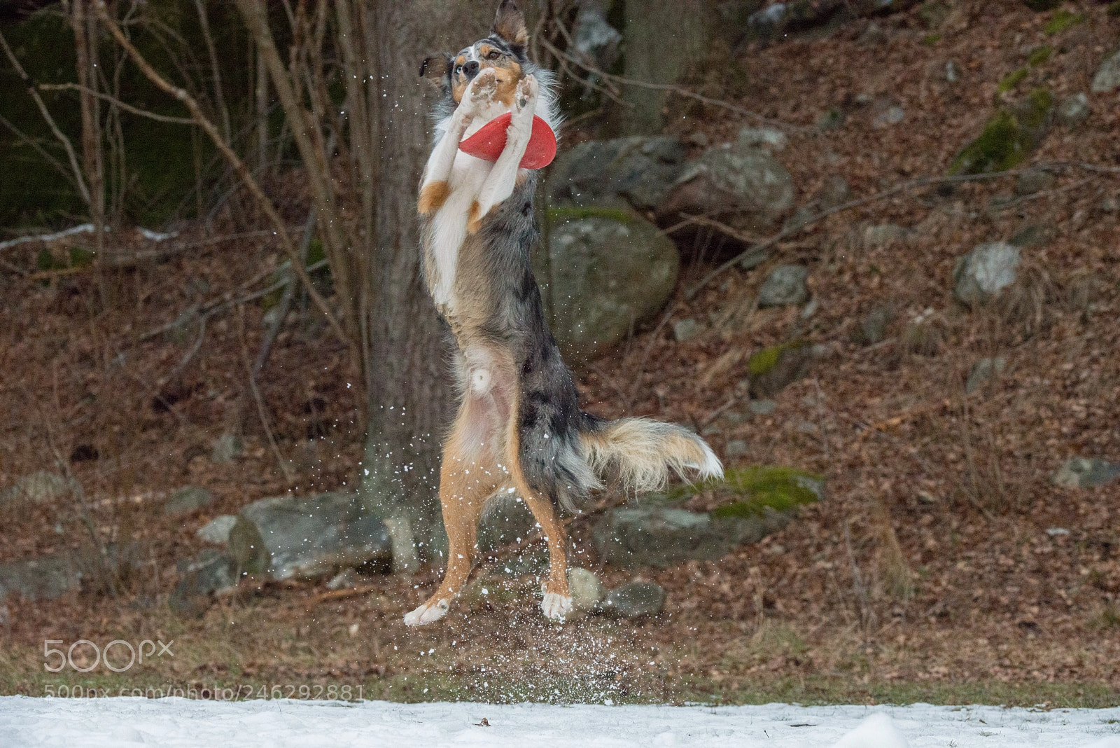 Nikon D800 sample photo. 2.jpg photography
