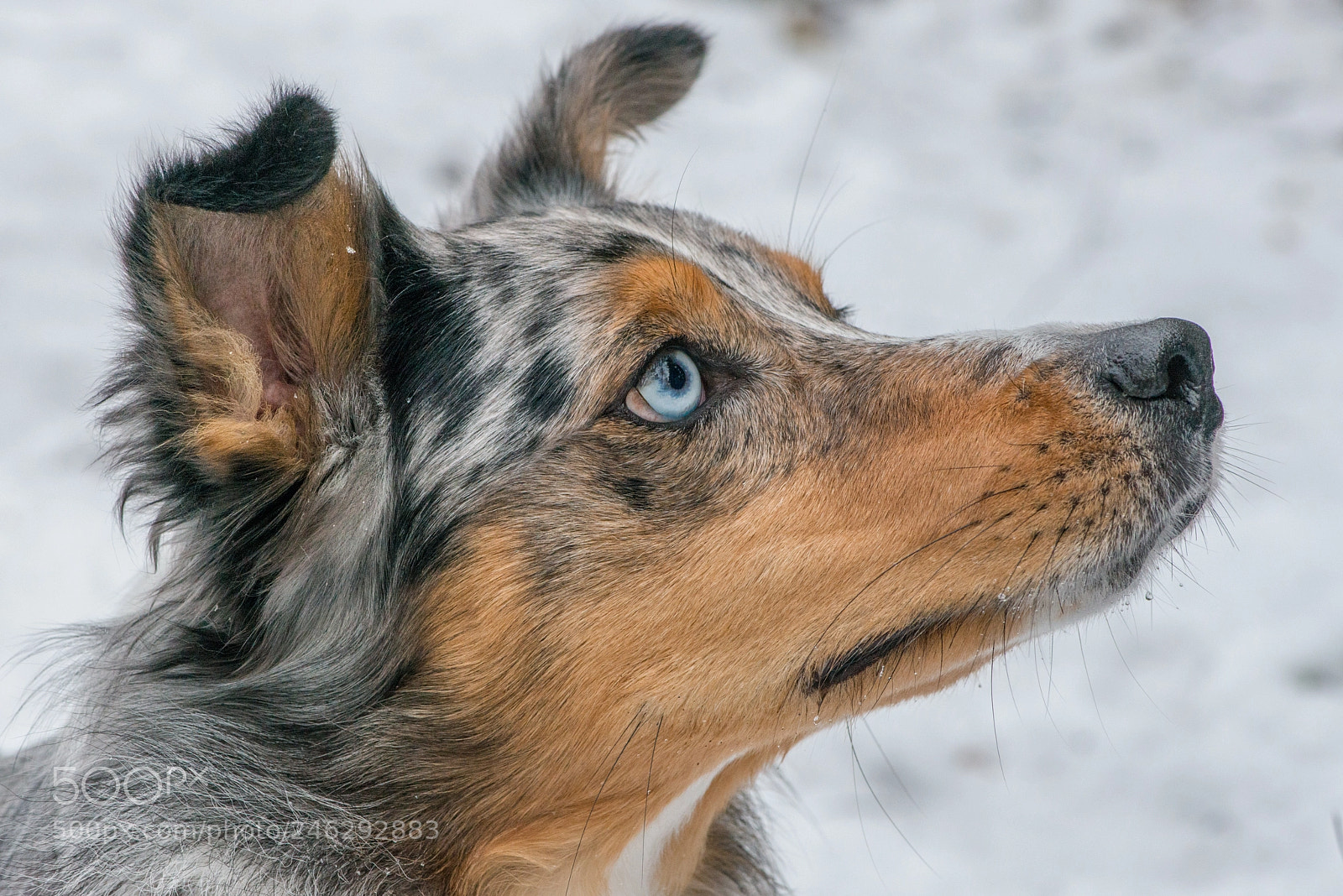 Nikon D800 sample photo. 1.jpg photography