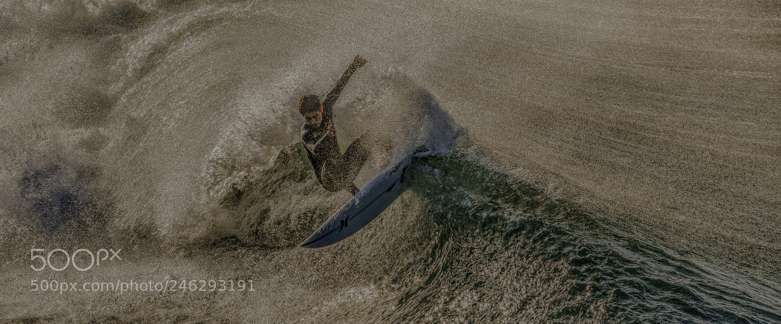 Nikon D5 sample photo. The wild one photography