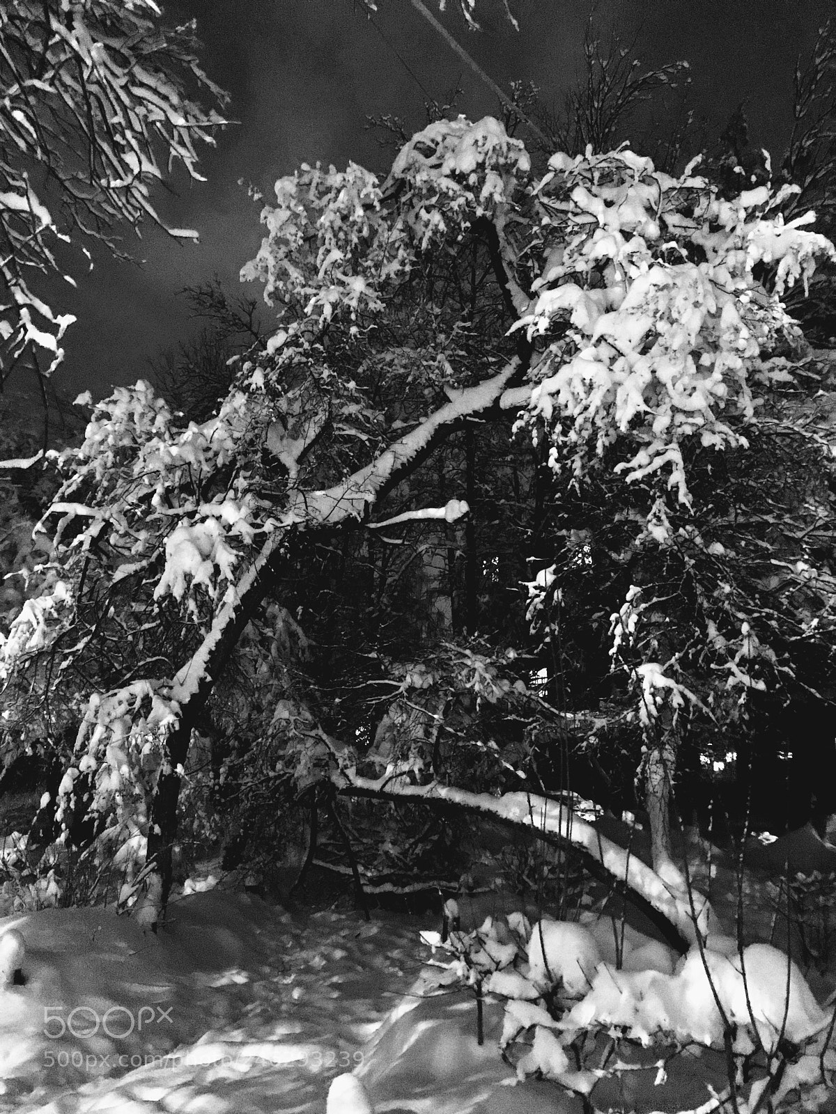 Apple iPhone 7 sample photo. Winter photography