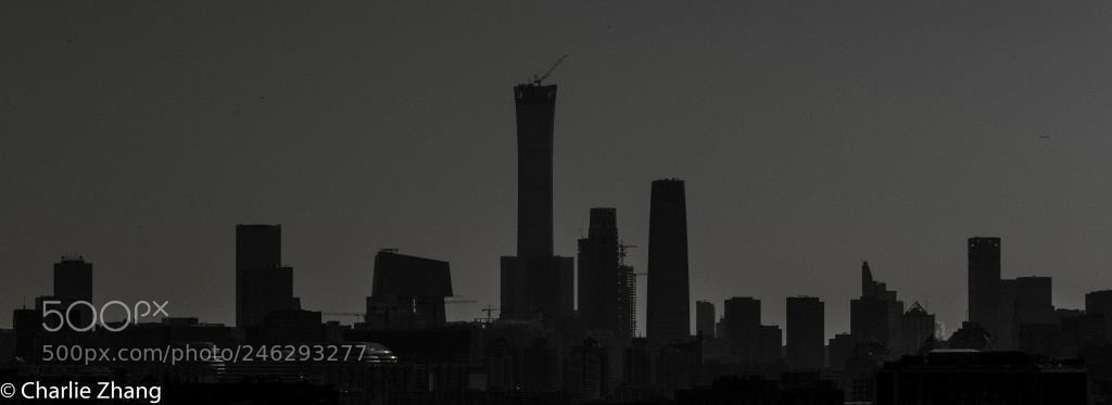 Canon EOS-1D X sample photo. Untitled photography